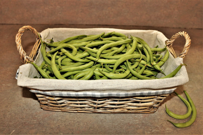 Обои картинки фото еда, бобовые, фасоль, спаржевая