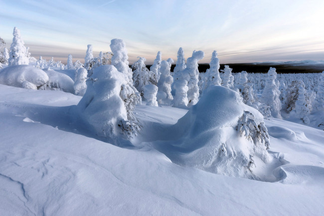 Обои картинки фото природа, зима, сугробы, снег