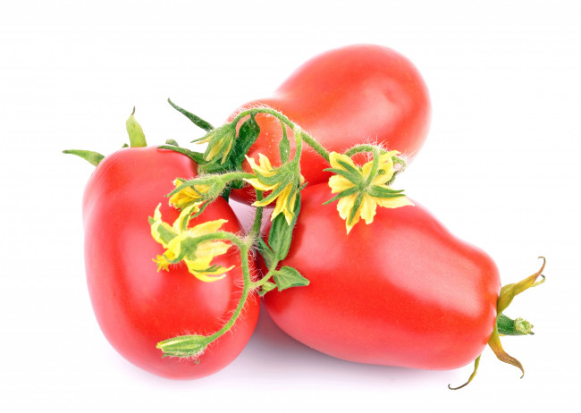 Обои картинки фото еда, помидоры, помидор