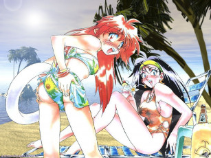 Картинка аниме slayers