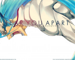 Картинка аниме bleach grimmjow