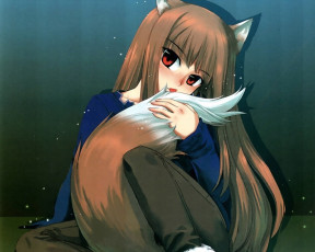 Картинка аниме spice and wolf