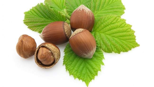 Обои картинки фото еда, орехи, каштаны, листья