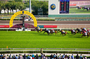 Картинка спорт конный