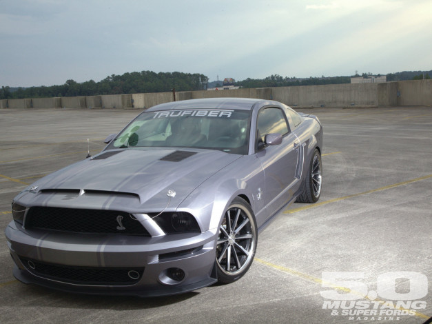 Обои картинки фото автомобили, mustang