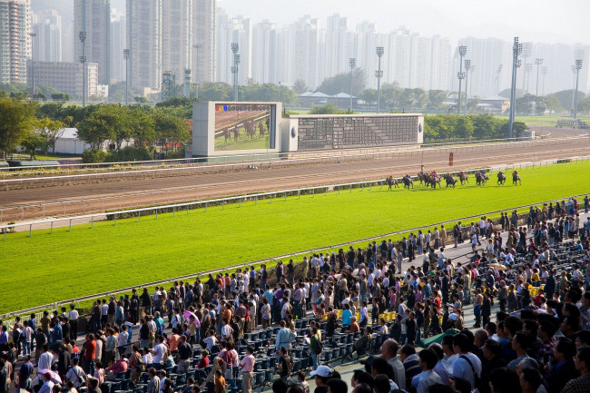 Обои картинки фото спорт, конный, коный