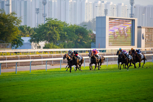 Обои картинки фото спорт, конный, коный