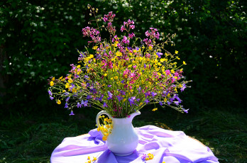 Картинка цветы луговые полевые лютики колокольчики