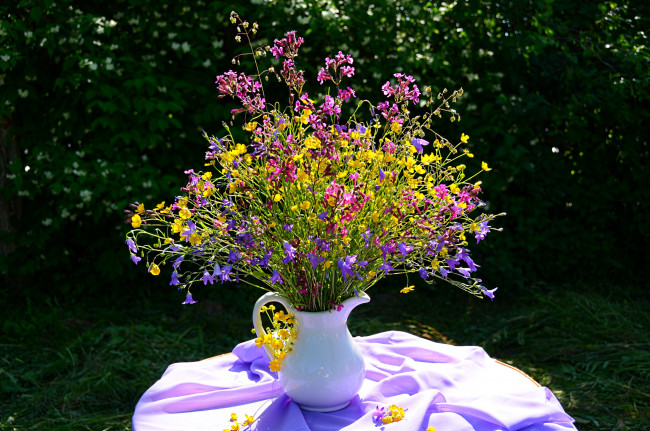 Обои картинки фото цветы, луговые, полевые, лютики, колокольчики