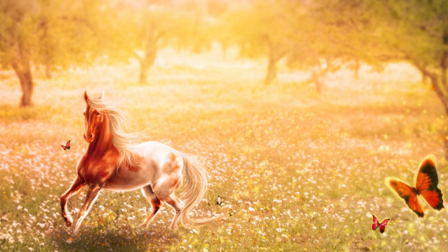 Обои картинки фото рисованные, животные,  лошади, лошадь, бабочки