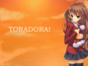 Картинка аниме toradora девушка взгляд фон