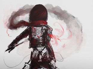 Картинка аниме shingeki+no+kyojin mikasa