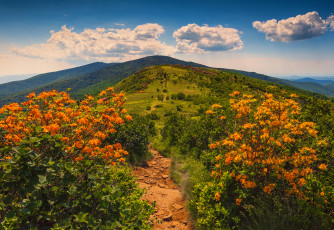 Картинка природа пейзажи простор