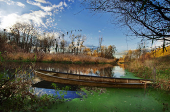 Картинка корабли лодки +шлюпки лес река