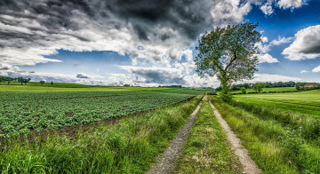 Картинка природа дороги тракт