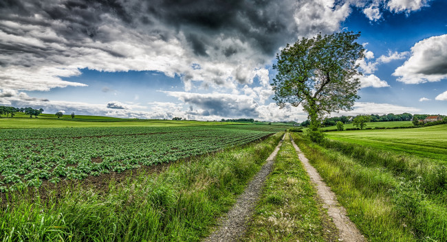 Обои картинки фото природа, дороги, тракт