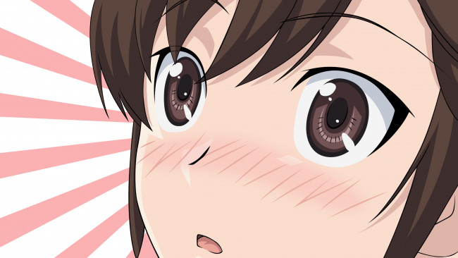 Обои картинки фото kami nomi zo shiru sekai, аниме, взгляд, девушка, фон