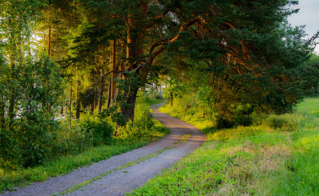 Обои картинки фото природа, дороги, тракт