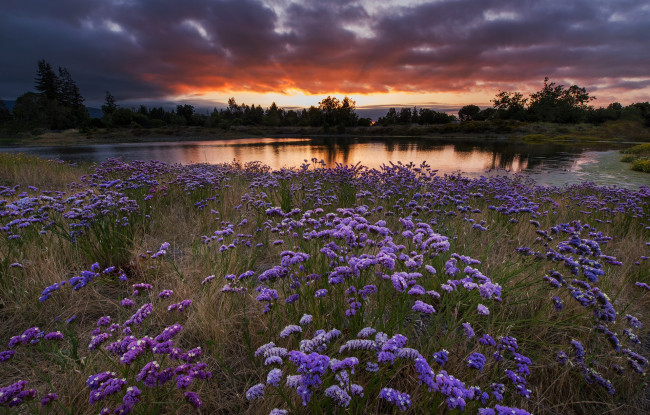 Обои картинки фото природа, луга, простор