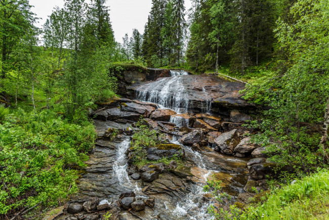 Обои картинки фото природа, водопады, водопад, река, лес