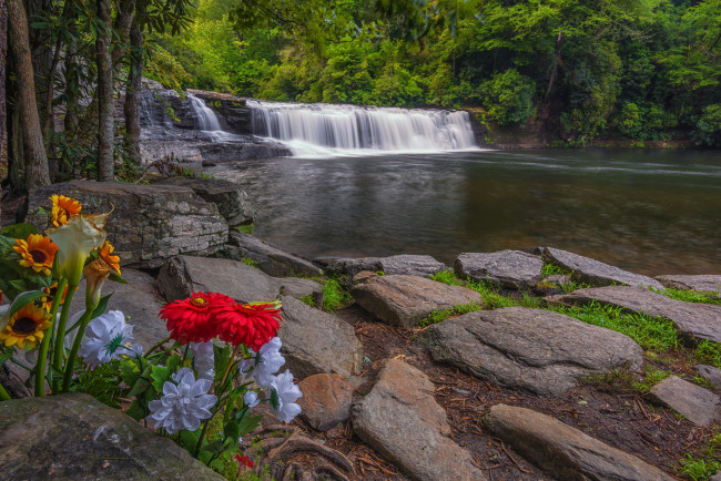 Обои картинки фото природа, водопады, водопад, река, лес