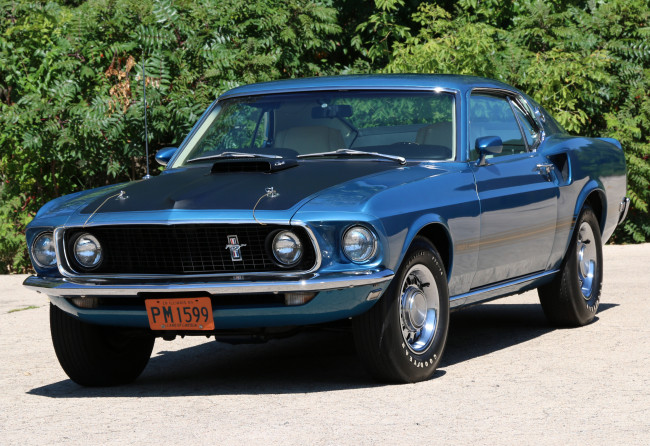 Обои картинки фото автомобили, mustang