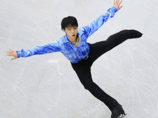 Картинка спорт фигурное+катание парень выступление
