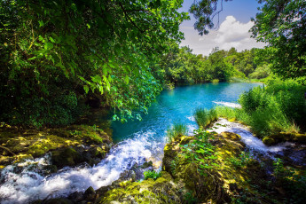 Картинка природа реки озера деревья озеро