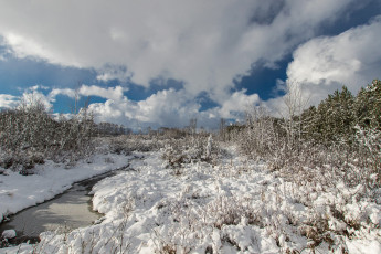 Картинка природа зима простор снег