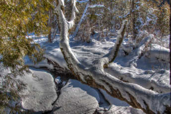 Картинка природа зима снег простор