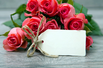 Картинка цветы розы бутоны