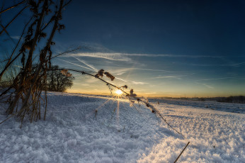 Картинка природа зима простор снег