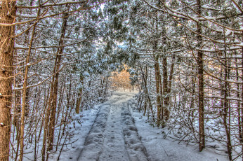 Картинка природа зима снег простор