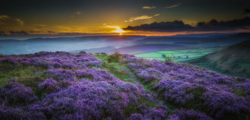 Картинка природа пейзажи луг пейзаж горы цветы закат