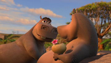 Картинка мультфильмы madagascar +escape+2+africa бегемот двое коктейль растения