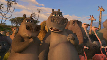 Картинка мультфильмы madagascar +escape+2+africa бегемот фламинго звери животные