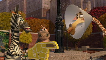 Картинка мультфильмы madagascar +escape+2+africa зебра бегемот жираф