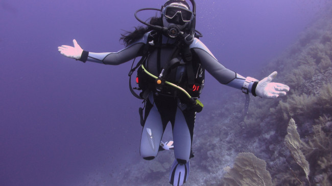 Обои картинки фото спорт, - другое, девушка, акваланг, водоем, растение