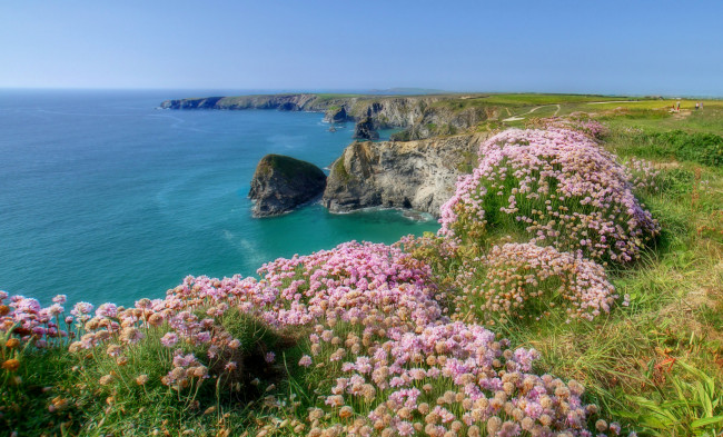 Обои картинки фото природа, побережье, простор