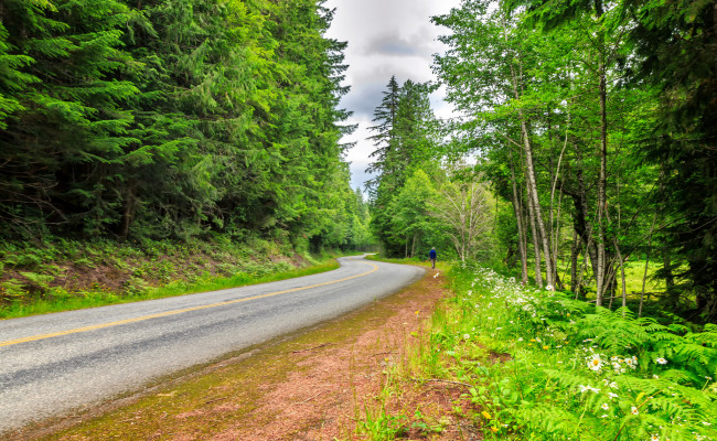 Обои картинки фото природа, дороги, простор