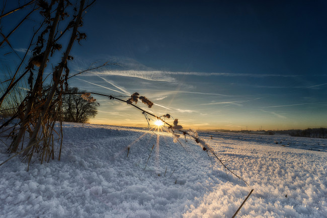 Обои картинки фото природа, зима, простор, снег