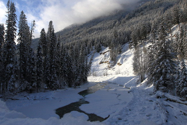 Обои картинки фото природа, зима, простор, снег