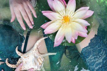 Картинка девушки -+женские+прелести рука белье ракушка кувшинка вода