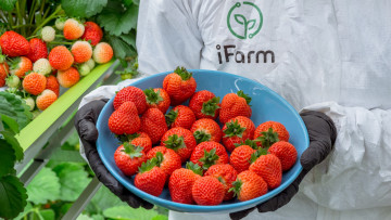 Картинка еда клубника +земляника