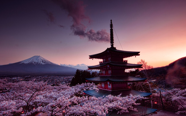 Обои картинки фото города, замки японии, пагода, сакура, фудзияма, гора
