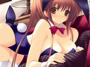 Картинка аниме dead or alive