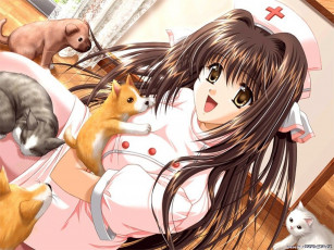 Картинка аниме *unknown другое