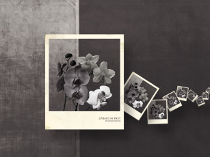 Картинка разное