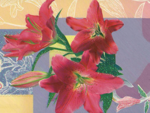 Картинка рисованные цветы