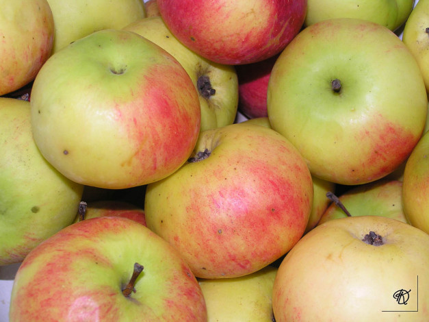 Обои картинки фото еда, Яблоки